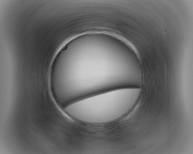 X0000114171533200910081103