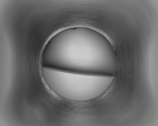 X0000114171534200910081103