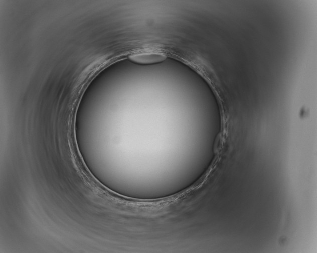 X0000114170001200910081533