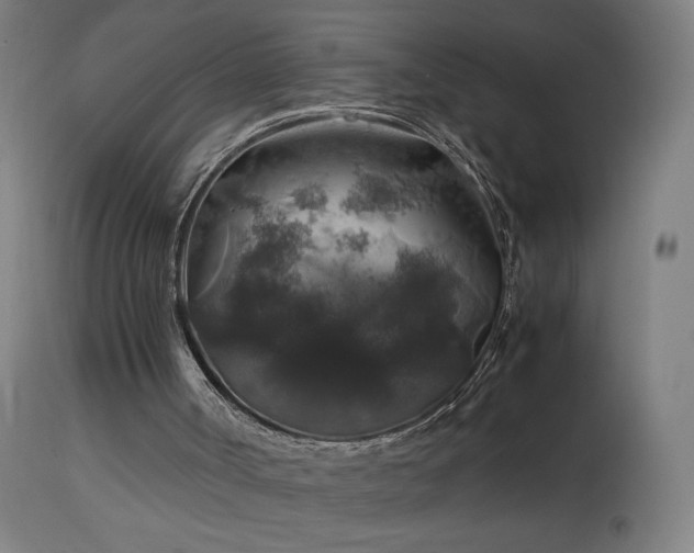 X0000114170002200910081533