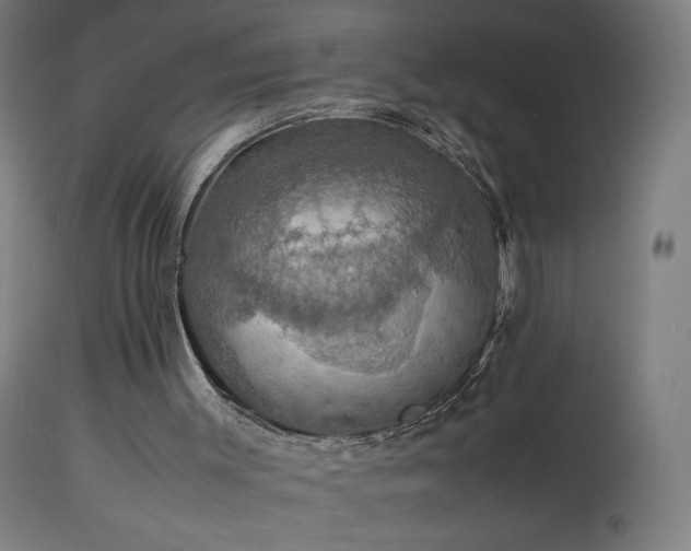 X0000114170003200910081533