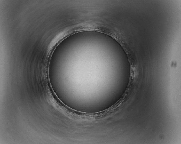 X0000114170004200910081533
