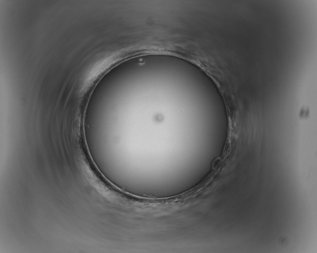 X0000114170005200910081533