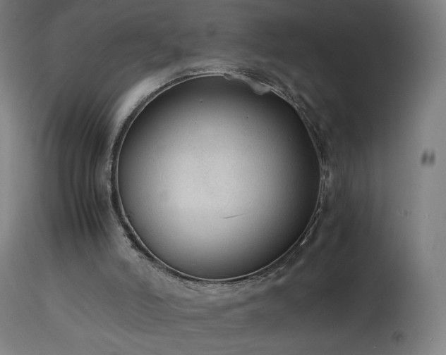 X0000114170006200910081533