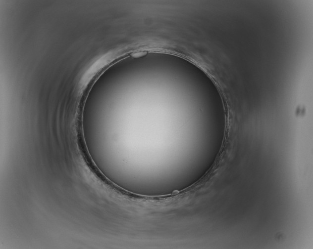 X0000114170007200910081533