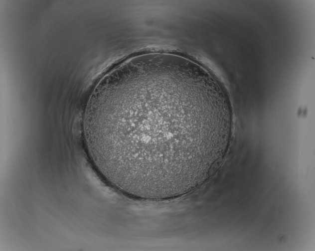 X0000114170009200910081533