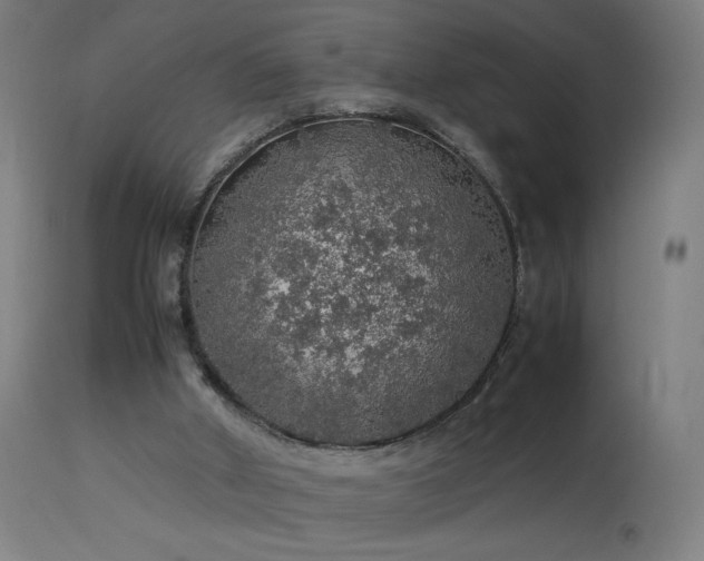 X0000114170010200910081533