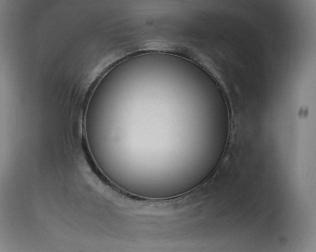 X0000114170011200910081533