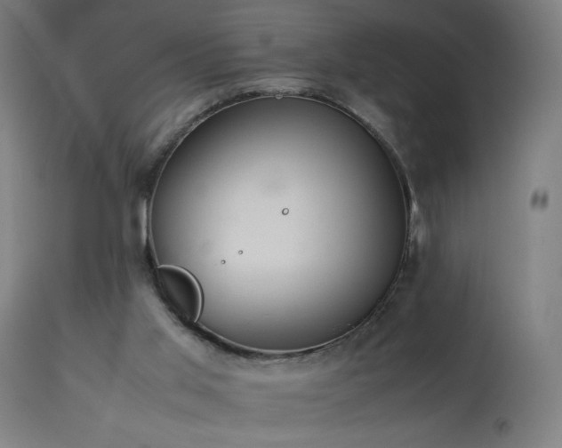 X0000114170013200910081533
