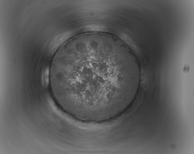 X0000114170014200910081533