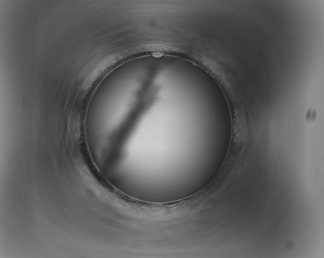 X0000114170015200910081533