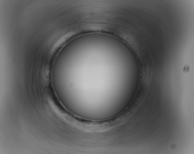 X0000114170016200910081533