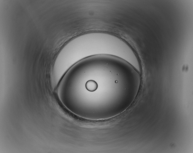 X0000114170017200910081533
