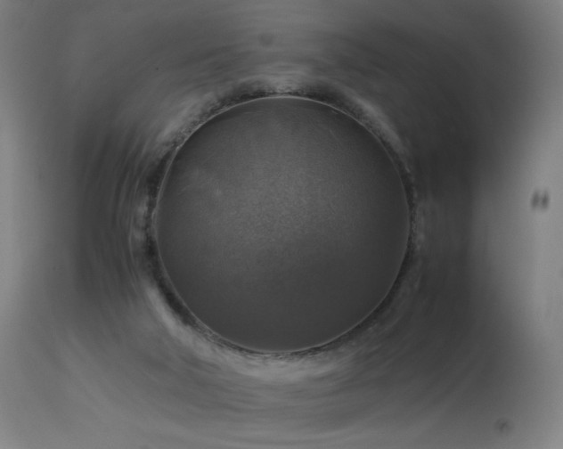 X0000114170018200910081533