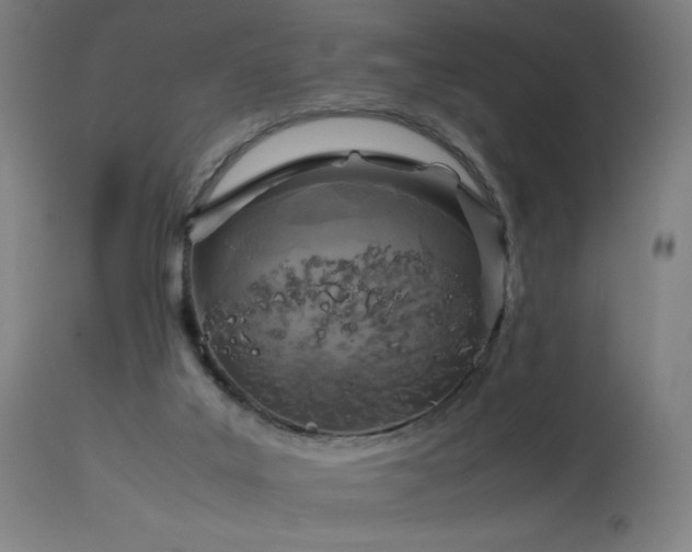 X0000114170019200910081533