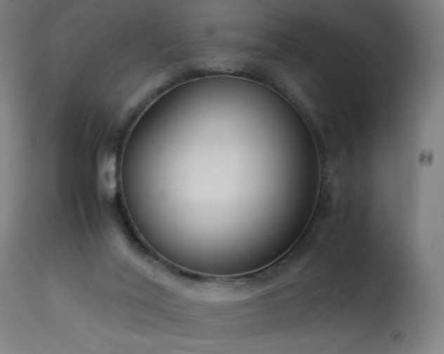 X0000114170020200910081533