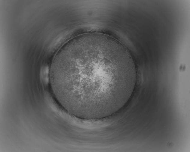 X0000114170022200910081533