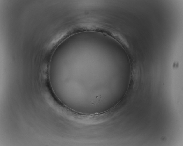 X0000114170023200910081533