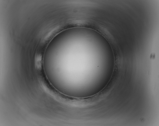 X0000114170024200910081533
