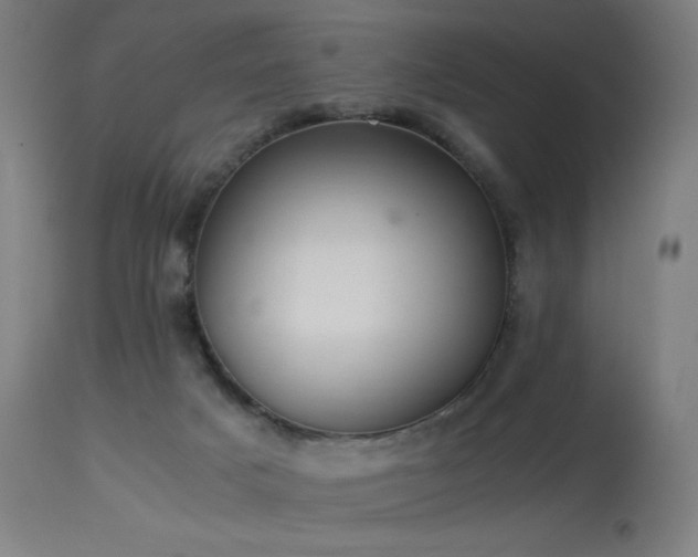 X0000114170025200910081533