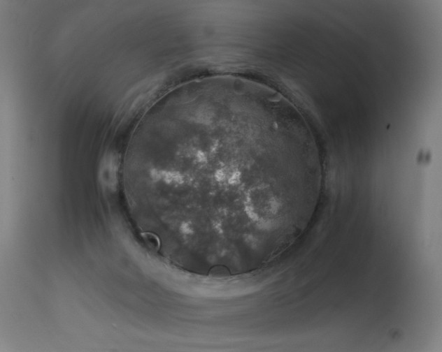 X0000114170026200910081533