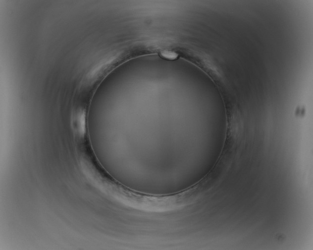 X0000114170027200910081533