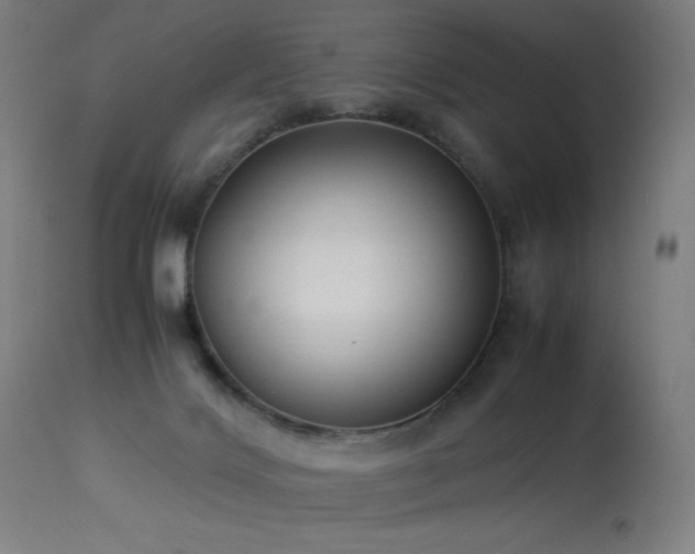 X0000114170028200910081533