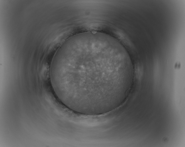 X0000114170029200910081533