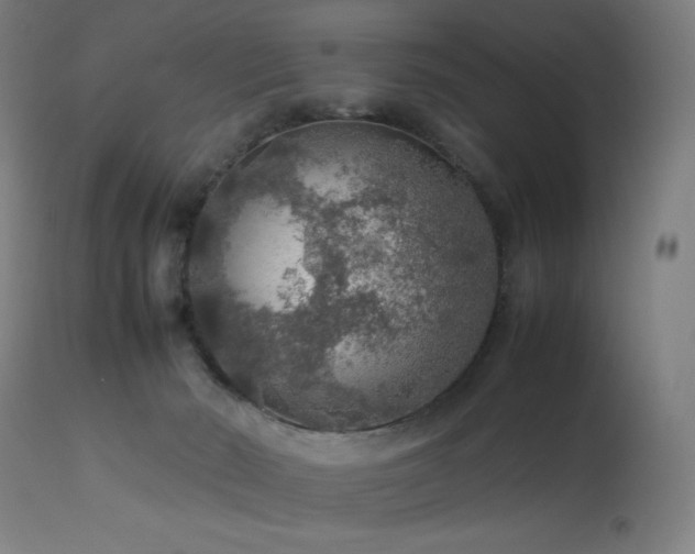 X0000114170030200910081533