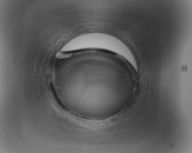 X0000114170031200910081533