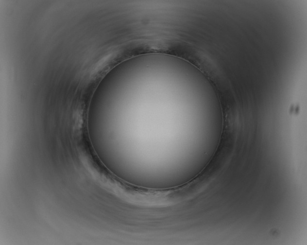X0000114170032200910081533