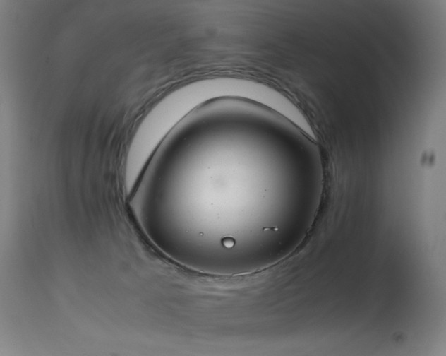 X0000114170033200910081533
