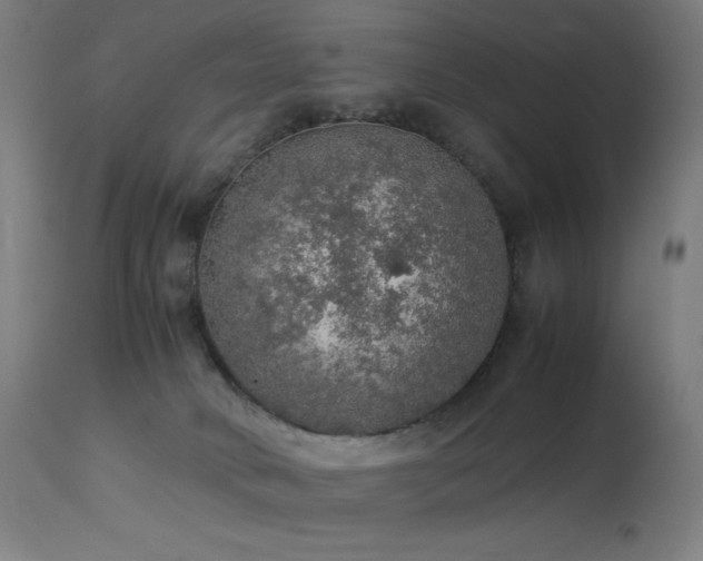 X0000114170034200910081533