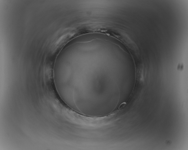 X0000114170035200910081533