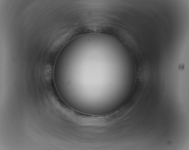 X0000114170036200910081533