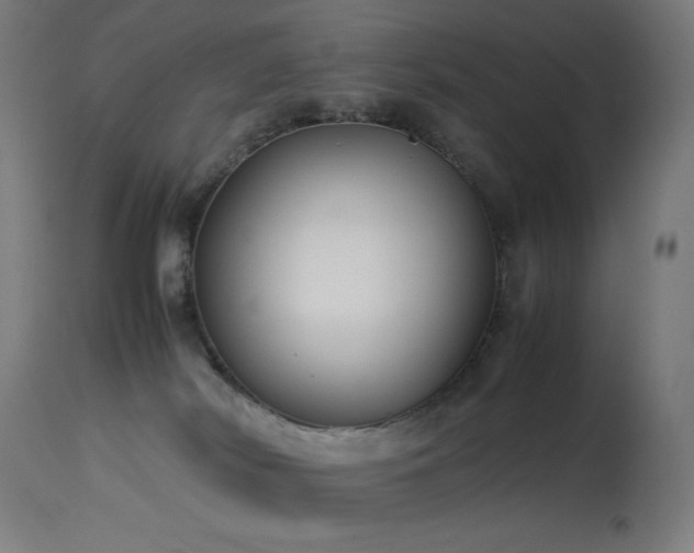X0000114170038200910081533