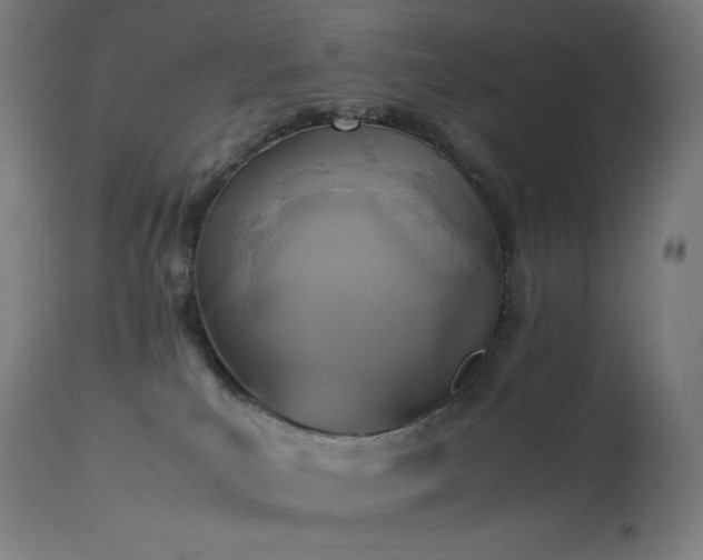X0000114170039200910081533
