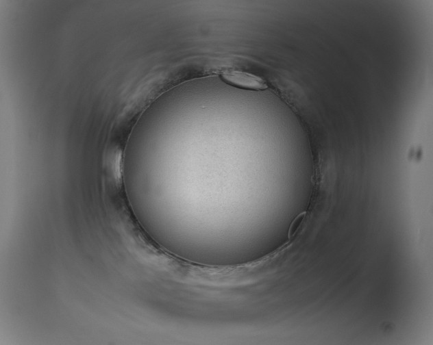 X0000114170041200910081533