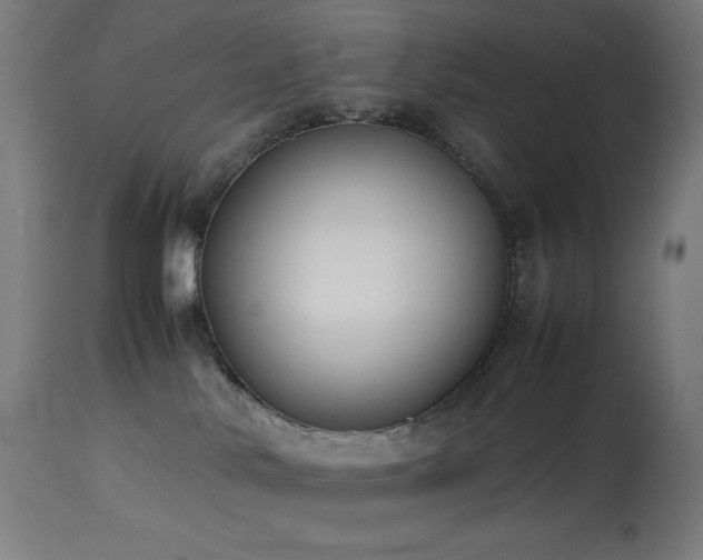 X0000114170042200910081533