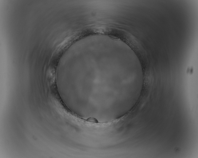 X0000114170043200910081533