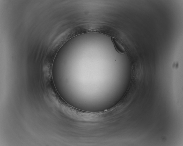 X0000114170044200910081533