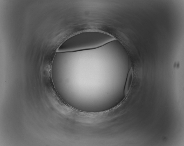 X0000114170045200910081533