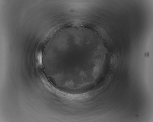 X0000114170046200910081533