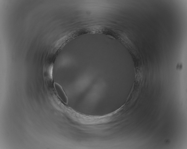 X0000114170047200910081533