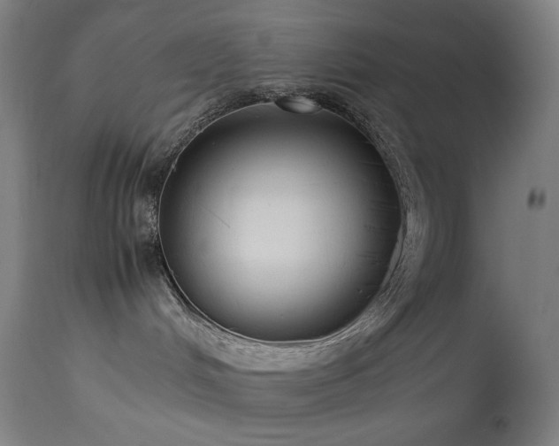 X0000114170048200910081533