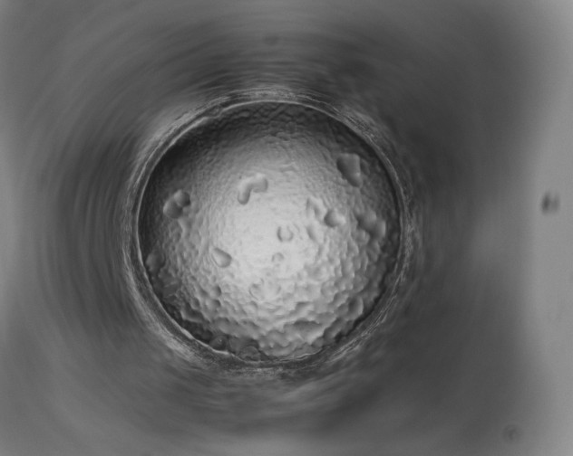 X0000114170049200910081532