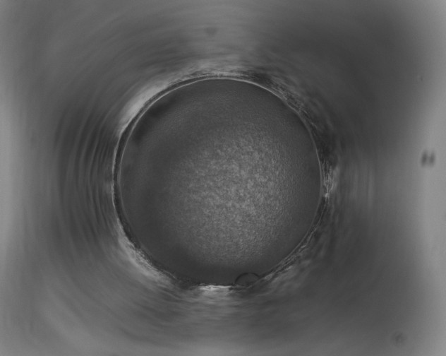 X0000114170052200910081532