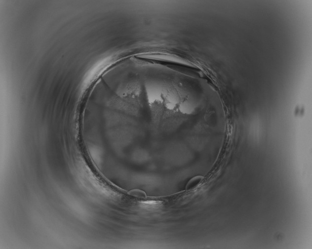 X0000114170053200910081532
