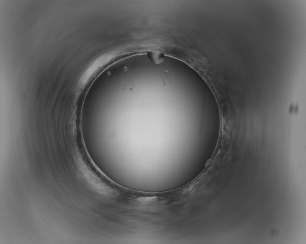 X0000114170054200910081532