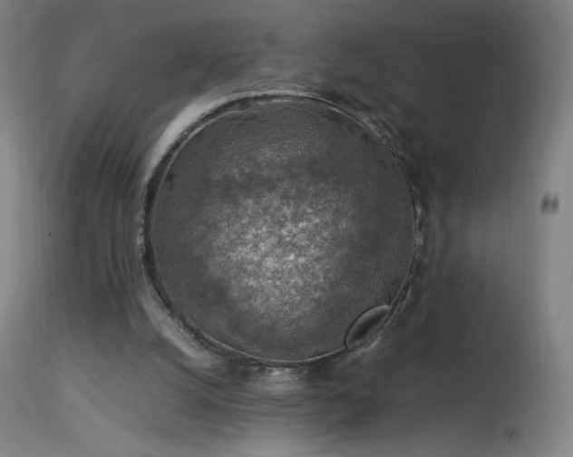 X0000114170056200910081532